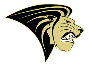 Fisher Hockey
